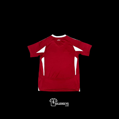 Qatar Home Jersey 25'