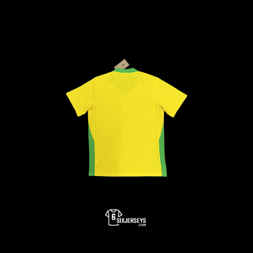 Brazil Home Jersey 25'